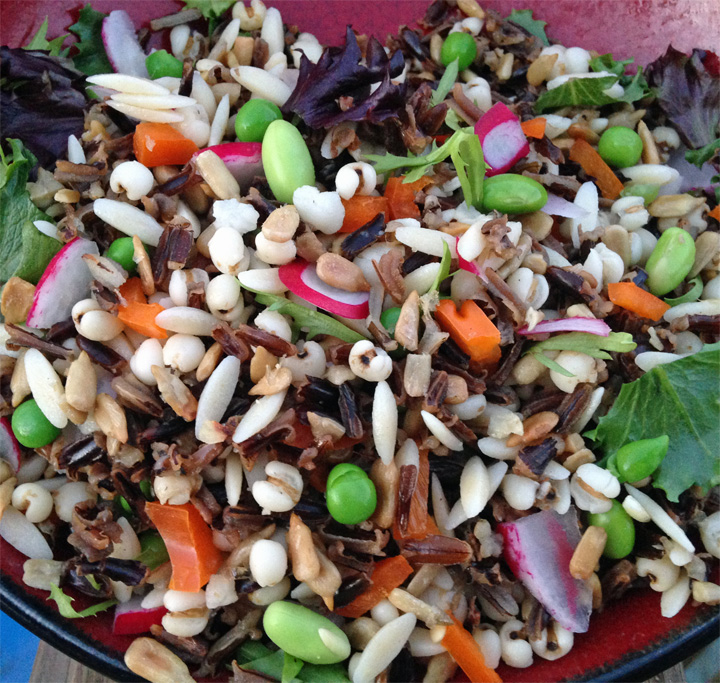 Gluten Free Wild Rice and Grain Salad